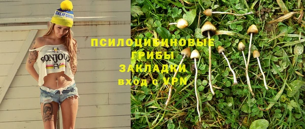 дживик Арсеньев