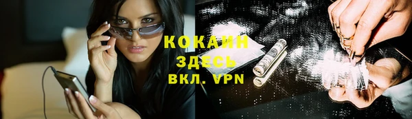 дживик Арсеньев