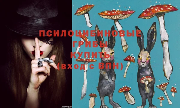 соль курить ск Армянск
