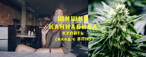 дживик Арсеньев