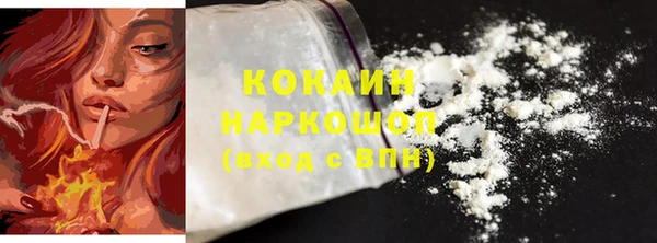 дживик Арсеньев