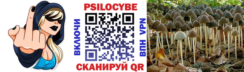 Псилоцибиновые грибы Psilocybine cubensis  хочу наркоту  Рассказово 